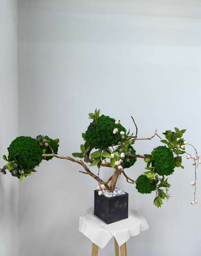 Живая эко-композиция 1006