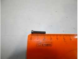 БОЛТ М 4 ( ДЛЯ МОТОРОВ СЕРИИ Д)