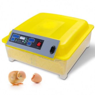 Инкубатор автоматический HHD на 54 яйца с роликовым лотком