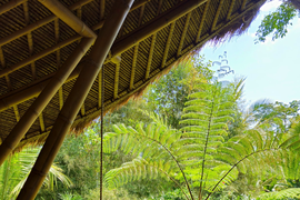 Hurry Up With Services Of Lucknow Escorts