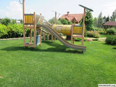 Рулонный газон Пикник-дачный