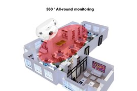 Панорамная IP видеокамера с встроенным видеорегистратором