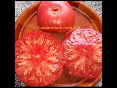 Томат Бабушка Бейкера (Grandma Baker's)