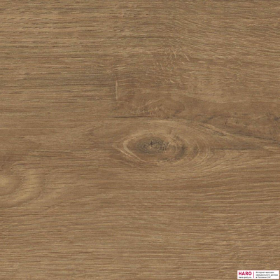 Декор ламината Haro Дуб Савона Натур 538649 структура