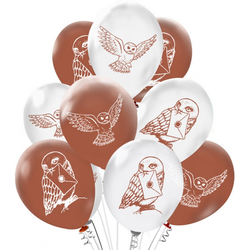 Воздушный шар "Совы"