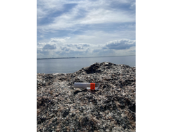 Духи НОТА: МУЖСКАЯ КОЖА 3,5 мл