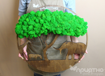 ЖИВАЯ ЭКО-КАРТИНА 1009