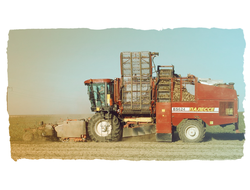 Комбайны для уборки овощей и зерновых - 1