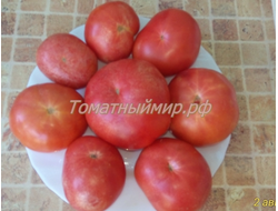 Томат Гном Арктическая Роза, Dwarf Arctic Rose