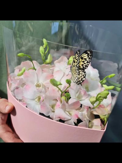 Нежный букет с орхидеями и бабочкой №114