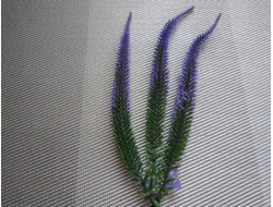 Фиолетовые люпины, высота 18 см, цена за 1 шт