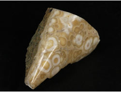 Арагонит, почковидные агрегаты, полировка, Россия, КЧР, Урупский район (48*29*18 мм, 26 г) №37740