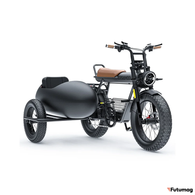 Люлька - Коляска для электровелосипеда COSWHEEL CT20 / CT20S