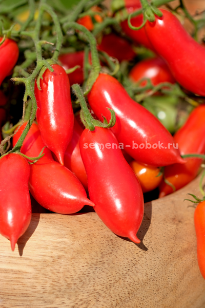 Томат Pelino 2014 (Пелино 2014), 7 шт