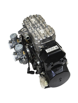 Двигатель (Мотор) в сборе оригинал Polaris 1204994 для снегоходов Polaris Widetrak LX 500, Indy 500 (1989-2014)