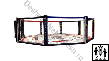 октагон новосибирск