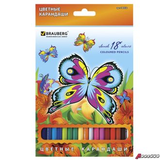 Карандаши цветные BRAUBERG «Wonderful butterfly», 18 цветов, заточенные, картонная упаковка с блестками. 180550