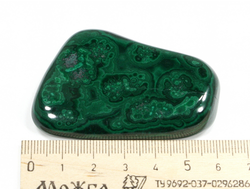 Малахит, полировка, Конго (60*42*13 мм, 68 г) №27289