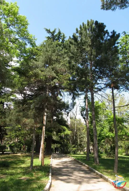 Приморский парк в Алуште