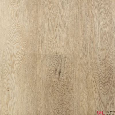 SPC ламинат First Floor Простой Серый Дуб 1F034