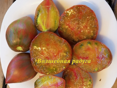 Томат Волшебная Радуга