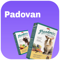 Padovan (Падован)