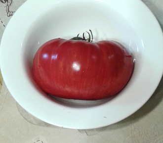 Семена томата Жар-птица сладкая Гном