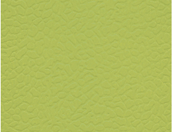 LES6601 Leisure LX Hausys