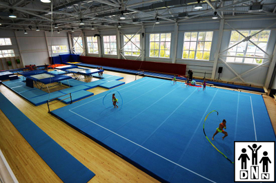 Ковер для спортивной гимнастики 0.015 м (плотность 35 кг/м3) DNN цена за 1м2