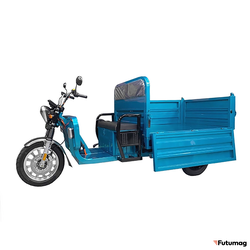 Грузовой электротрицикл IKINGI Q30