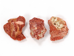 Коралл природный в ассортименте, Индонезия (18-20 мм, 1-2 г) №27522