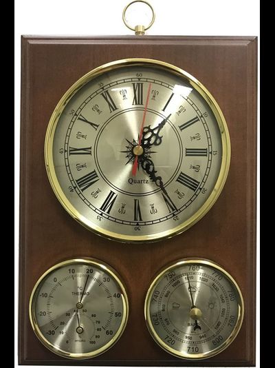 Метеостанция Бриг БМ93301-Ч(ТГ)Б-В