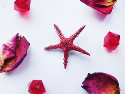 Морская брошь "Звезда ундины"