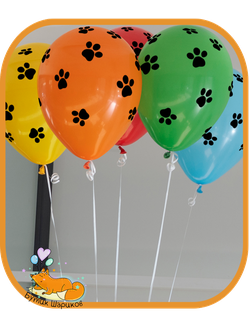 Шарики под потолок с гелием «С днём рождения, лови счастье»