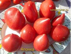Томат Японка