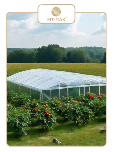 Пленка полиэтиленовая для парника и теплицы 4м*100м 150 мкм купить