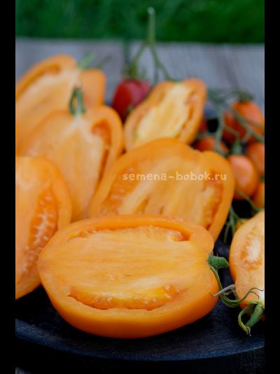 Томат Минусинские Стаканы Оранжевые, 10 шт