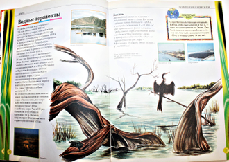 Сибелла С. Большая книга рекордов. Пер. с ит. М.: Росмэн. 2005г.