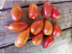 Томат Сливка полосатая