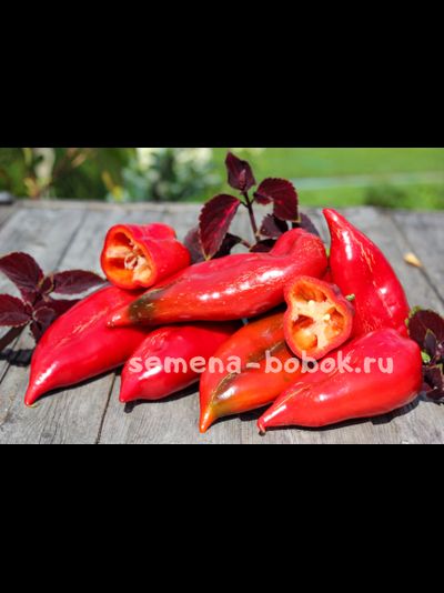 Перец сладкий Паланичко Чудо, 10 шт