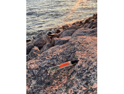 Духи НОТА: ЮНАЯ КОЖА, 10 мл