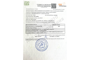 Аля. Тесты на генетические заболевания