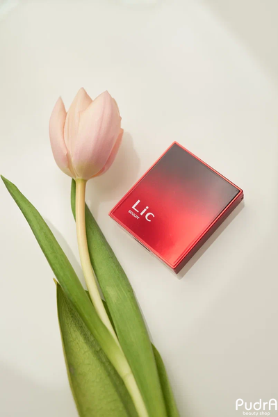 Lic Скульптор для лица Sculpt Тон 02 Choco haze 11 гр