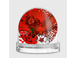 Шары водяные Ливерпуль, Liverpool FC