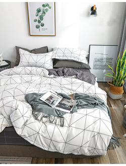 Постельное белье 1.5 спальное TANGO Dream Fly микросатин 150x200x1 180x230x1 50x70x1 70x70x1 DF01-179