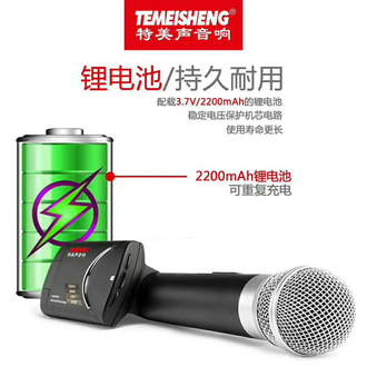 Караоке комбоусилитель Temeisheng SL12-14 с видеомикрофоном-суфлером