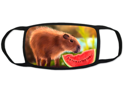 Тканевая маска на лицо Капибара, Kapibara-san №15