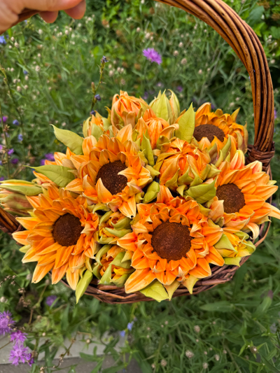 Корзина с зефирными подсолнухами