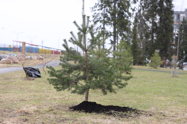 Красота района в наших руках!