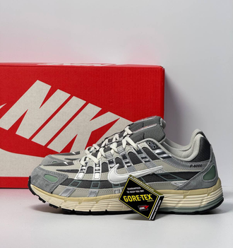 Nike P-6000 Gore-Tex Grey White Зимние